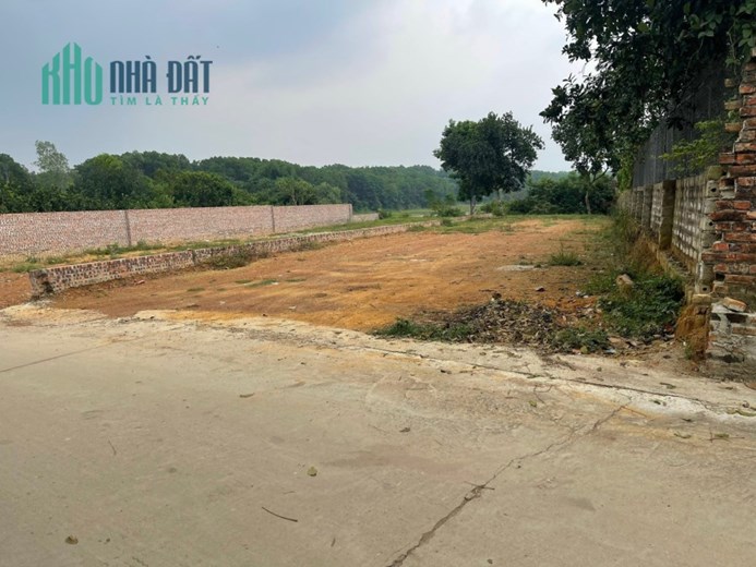 Đất Cổ Đông Sơn Tây, trục đường liên xã, 10x50m, cách QL21A 300m