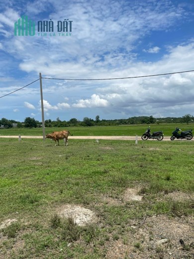 Chính chủ bán lô đất full thổ cư tại Láng Xéo, Xã Sông Bình, Huyện Bắc Bình, Tỉnh Bình Thuận.