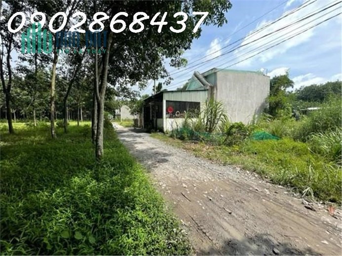Ngân Hàng Thanh Lý, Đất 1.328m2, Phường Hòa Lợi, Bến Cát, Giá Nhỉnh 3 Tỷ