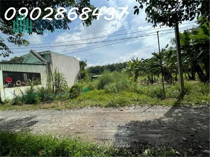 Ngân Hàng Thanh Lý, Đất 1.328m2, Phường Hòa Lợi, Bến Cát, Giá Nhỉnh 3 Tỷ