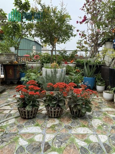 Bán ngôi nhà 52m2 Mặt phố Thụy Khuê, Tây Hồ Gara 2 Ô tô tránh 6 phòng Kinh doanh đa dạng 13.8 Tỷ