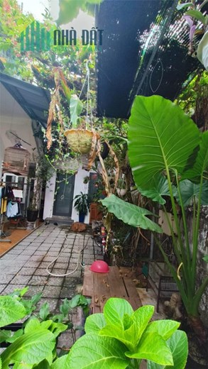 CHÍNH CHỦ CẦN BÁN  NHÀ  tại đường Phạm Ngọc Thạch, TP Hội An ,Tỉnh Quảng Nam.