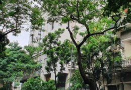 Bán tòa nhà mặt phố Hàng Chuối, Hai Bà Trưng 555m, 16T hầm, MT 16m, ô tô, KD giá 565 tỷ. LH: