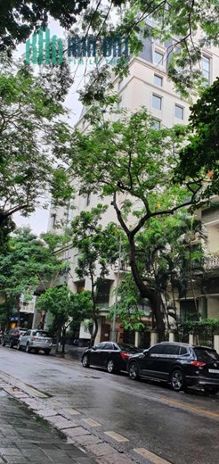 Bán tòa nhà mặt phố Hàng Chuối, Hai Bà Trưng 555m, 16T hầm, MT 16m, ô tô, KD giá 565 tỷ. LH: