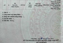 Bán 1,5ha trong KCN Bình Xuyên 1 - Vĩnh Phúc