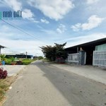 CHỈ 13 TRIỆU/M2 - LÔ ĐẤT MẶT TIỀN TÂN THÔNG HỘI, CỦ CHI - 250M2, NGANG 10M, SỔ VUÔNG A4, CHUẨN