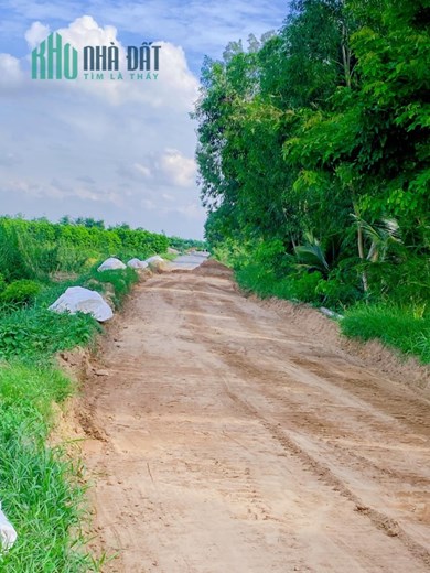 Chính Chủ Cần Bán 2 Lô Đất Mặt Tiền Kinh 19-5.