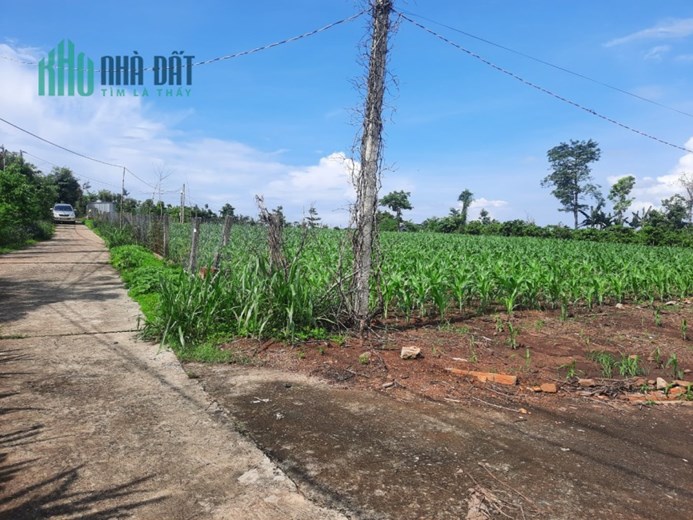 CHÍNH CHỦ CẦN BÁN LÔ ĐẤT ĐẸP MẶT TIỀN ĐƯỜNG Ở XÃ HÒA KHÁNH – TP.BUÔN MA THUẬT – ĐẮK LẮK