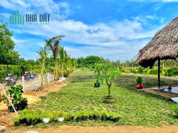 1000m2  280tr Thích Hợp Làm Nhà Vườn Nghỉ Dưỡng