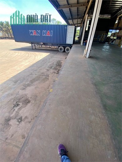 Bán nhà xưởng và Đất, Sản Xuất Gỗ Xuất Khẩu. pccc tự động. kết cấu xây dựng đẹp