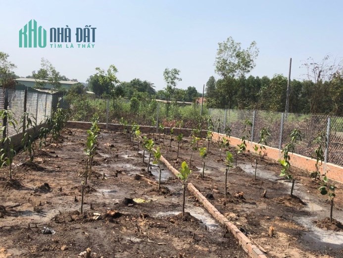 Bán lô đất đường Thiện Tân, X.Thiện Tân, Vĩnh Cửu, Đồng Nai