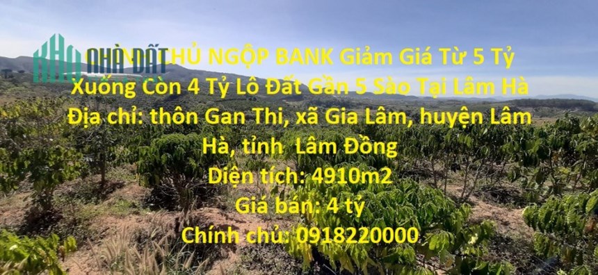 CHÍNH CHỦ NGỘP BANK Giảm Giá Từ 5 Tỷ Xuống Còn 4 Tỷ Lô Đất Gần 5 Sào Tại Lâm Hà