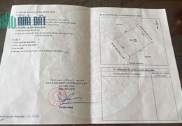CHÍNH CHỦ Cần Bán Nhanh Lô Đất Tại P Nghi Hương - TX Cửa Lò - Nghệ An
