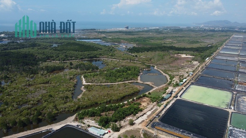 ĐẤT CHÍNH CHỦ -View Hồ Tràm – Giá Cực Mềm Tại  Bà Rịa Vũng Tàu