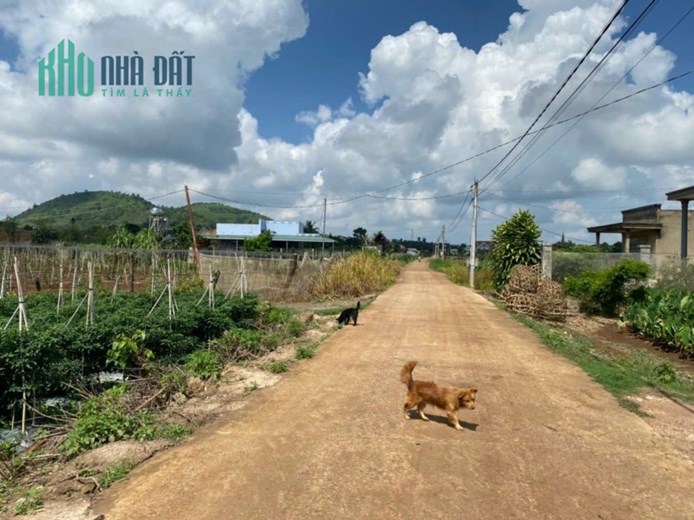 Bán lô đất đường Tân Phú, X.Tân Hội, Đức Trọng, Lâm Đồng