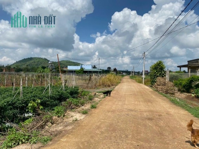Bán lô đất đường Tân Phú, X.Tân Hội, Đức Trọng, Lâm Đồng
