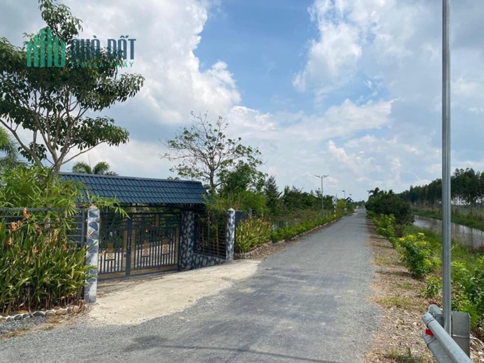 1công mặt tiền đường Tây kênh 21,Thạnh Mỹ,Tân Phước,Tiền Giang