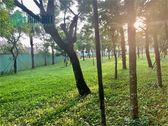 Nhà Palm residence, DT 6x17m Full nội thất