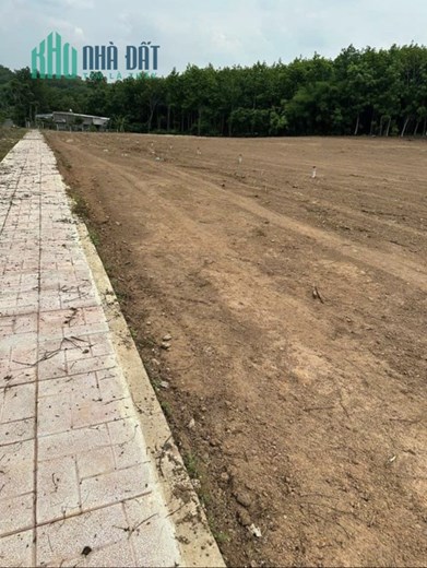 Bác 3 gửi bán nền đất thổ cư sẵn 100m 259tr sổ riêng