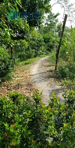 Chính Chủ Bán Lô Đất Đẹp Vị Trí Đắc Địa Tại Xã Mỹ Hạnh Trung, Thị xã Cai Lậy, Tiền Giang
