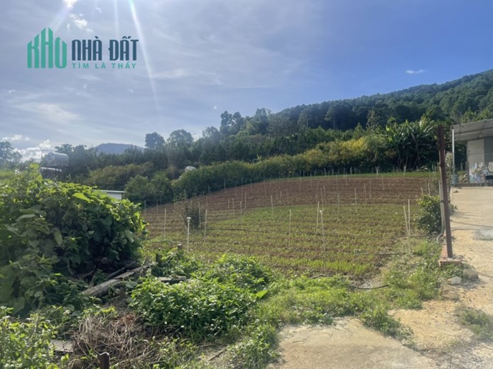 Bán đất Hiệp An Đức Trọng 1325m- Đường bê tông ô tô tránh nhau, sát cao tốc Liên Khương
