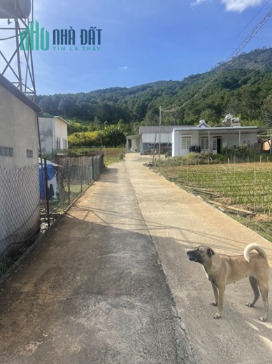 Bán đất Hiệp An Đức Trọng 1325m- Đường bê tông ô tô tránh nhau, sát cao tốc Liên Khương