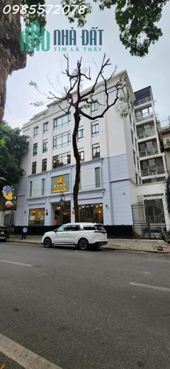 TOÀ NHÀ VĂN PHÒNG TRUNG TÂM QUẬN HOÀN KIẾM - ĐẤT VÀNG CỦA THỦ ĐÔ - DOANH THU GẦN 2 TỶ/TH