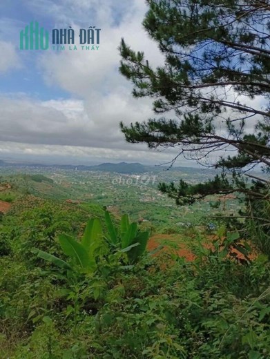 CHÍNH CHỦ CẦN BÁN LÔ ĐẤT Vùng Ven Đà Lạt, View Cao Thoáng Mát