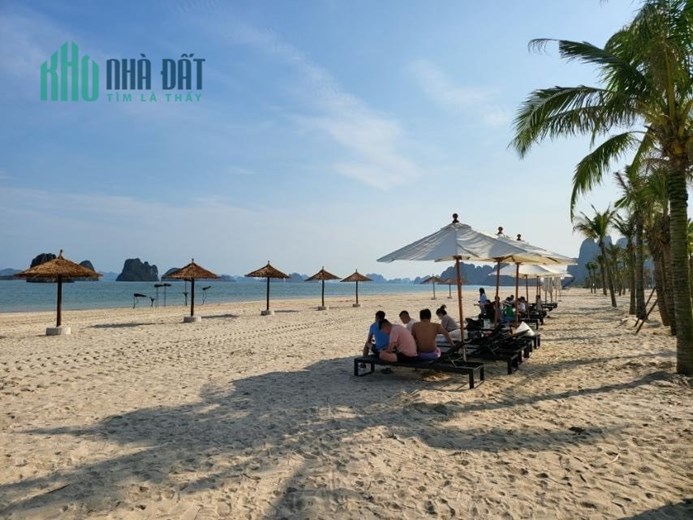 Chính chủ cần bán căn Shoptel Sonasea Vân Đồn căn đẹp giá tốt nhất thị trường