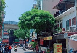 MẶT PHỐ_LÔ GÓC 3 THOÁNG_33M_6.75 TỶ_KINH DOANH