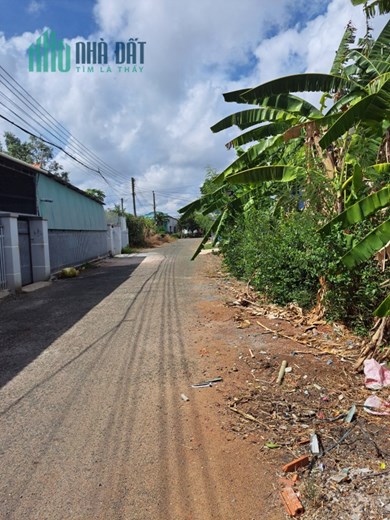 Chính chủ cần bán đất tại huyện Đất Đỏ.