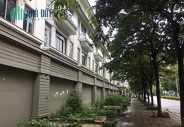 Cho Thuê 10 Căn Liền Kề Geleximco Cạnh nhau, 1200m2, Mặt tiền 60m, 13tr/1 căn