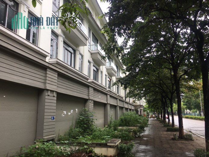 Cho Thuê 10 Căn Liền Kề Geleximco Cạnh nhau, 1200m2, Mặt tiền 60m, 13tr/1 căn