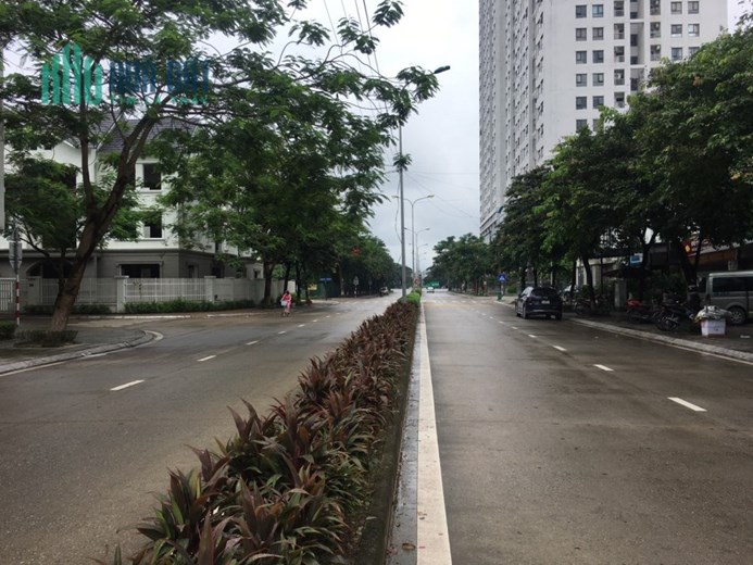 Cho Thuê 10 Căn Liền Kề Geleximco Cạnh nhau, 1200m2, Mặt tiền 60m, 13tr/1 căn