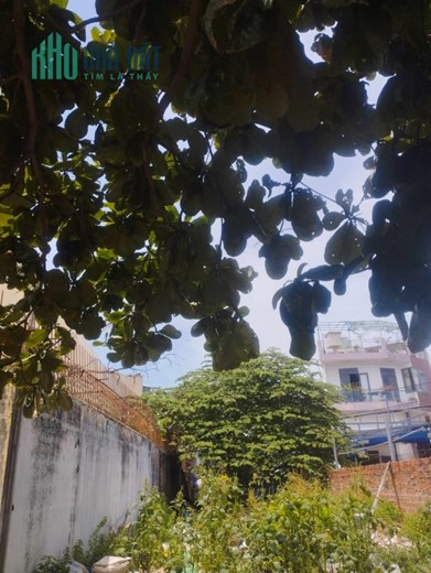 Đất mặt tiền biển Nguyễn Tất Thành, Thanh Khê, chỉ 8 tỷ x