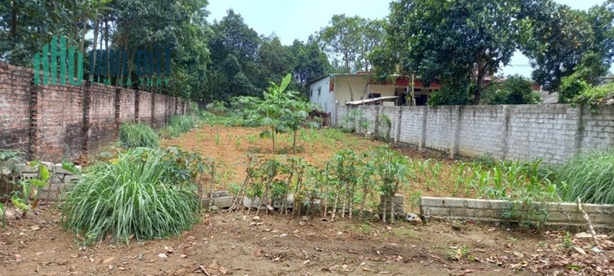 Chủ cần tiền bán cắt lỗ mảnh đất 429m2 Bình Yên Thạch Thất Hà Nội.