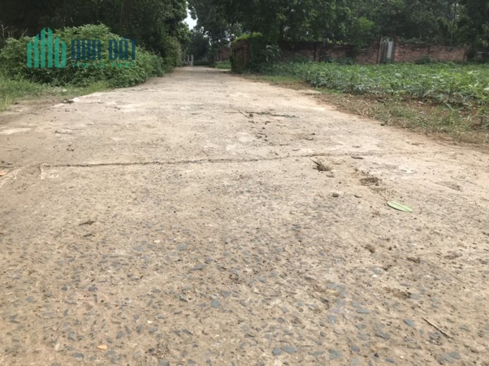 679M ĐỒI SEN BÌNH YÊN GIÁ RẺ
