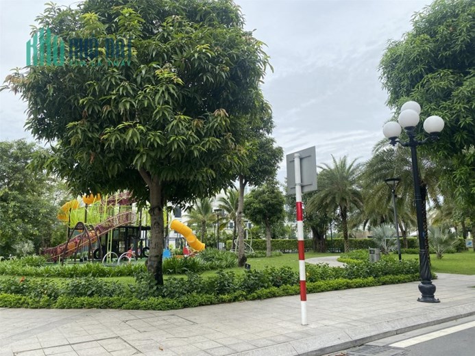 Chính chủ bán Shophouse Sao Biển 01 Hướng Đông Nam Vinhomes Ocean Park Gia Lâm