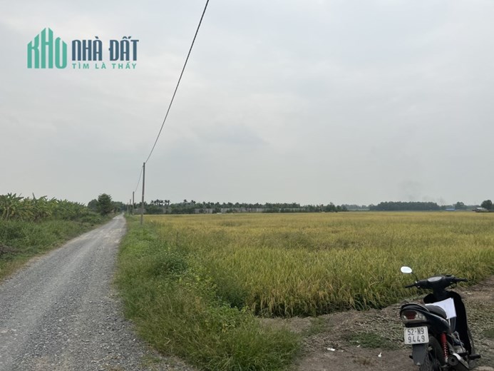 Bán 3ha đất đường Kênh 10 Lê Minh Xuân gần Vành đai 3