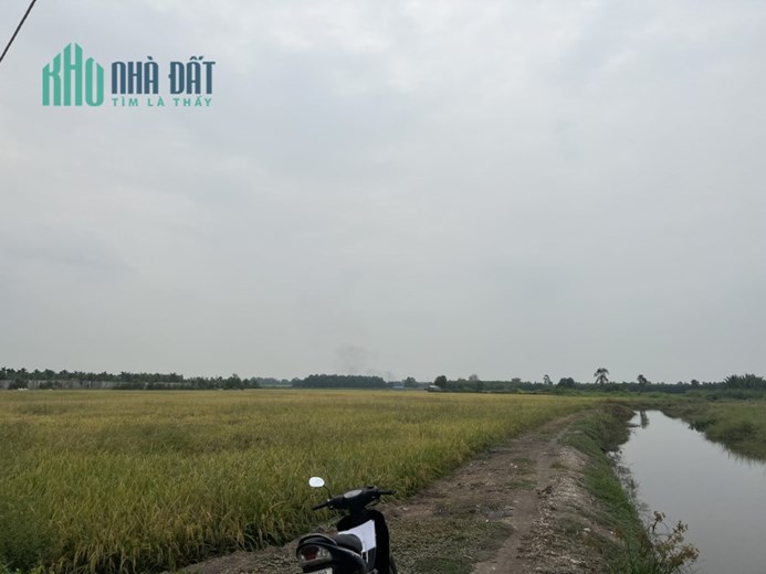 Bán 3ha đất đường Kênh 10 Lê Minh Xuân gần Vành đai 3