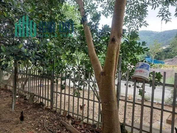 BÁN ĐẤT CÓ NHÀ XƯỞNG RỘNG 1960M2 THÔN ĐỒNG CHẰM, ĐÔNG XUÂN, QUỐC OAI
