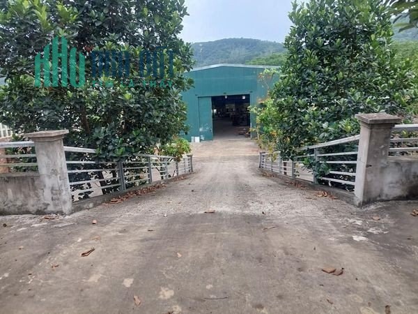 BÁN ĐẤT CÓ NHÀ XƯỞNG RỘNG 1960M2 THÔN ĐỒNG CHẰM, ĐÔNG XUÂN, QUỐC OAI