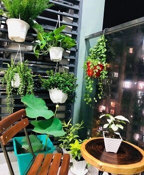 Chính chủ cho thuê căn hộ cao cấp khu Celadon City Quận Tân Phú, HCM