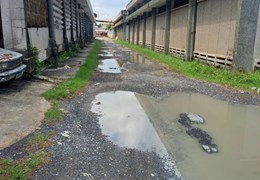 CHÍNH CHỦ CẦN Cho Thuê Nhanh Đất và Kho Tại Bình Chánh