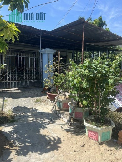 CHÍNH CHỦ CẦN BÁN GẤP Căn Nhà Cấp 4 Vị Trí Đắc Địa Tại Đường Cầu Ké, TP Nha Trang