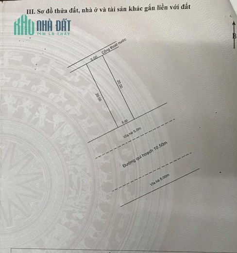 🔴💥ĐẤT ĐƯỜNG TRẦN ĐÌNH NAM - TRỤC ĐƯỜNG 10,5M THÔNG ĐINH LIỆT