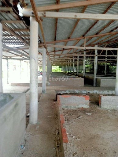 Cần sang nhượng nhà xưởng làm sứa do ko có nhu cầu sử dụng nữa tại Quốc lộ 80, Xã Dương Hòa, Huyện