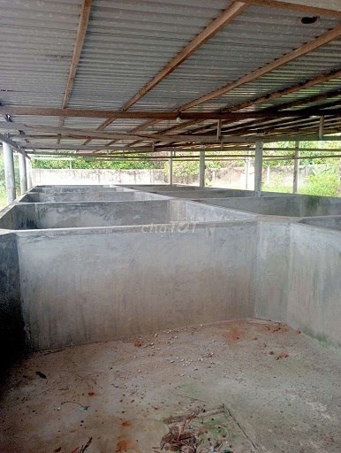 Cần sang nhượng nhà xưởng làm sứa do ko có nhu cầu sử dụng nữa tại Quốc lộ 80, Xã Dương Hòa, Huyện