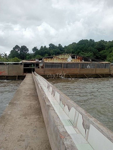 Cần sang nhượng nhà xưởng làm sứa do ko có nhu cầu sử dụng nữa tại Quốc lộ 80, Xã Dương Hòa, Huyện