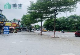 Bán Gấp 116m2 Đất Thổ Cư, Mặt Đường Bưởi, Quận Ba Đình. Vỉa Hè Rộng, Oto Dừng Đỗ, Kinh Doanh Đa